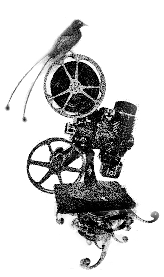 8film 8film